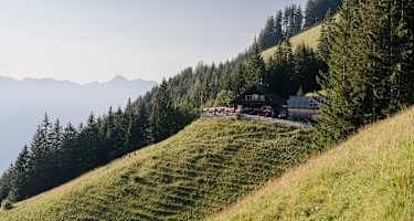 Berghütte inmitten grüner Wiesen, umringt von Nadelwäldern