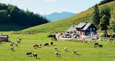 Die Buchberghütte liegt im salzburgerischen St. Gilgen am Wolfgangsee.