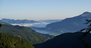 Blick auf Wolfgangsee