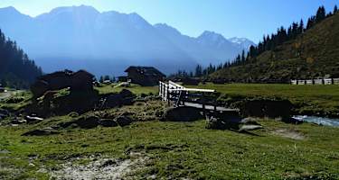 Auf der Falbesoner Ochsenalm