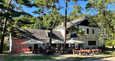Die Fesslhütte liegt ideal im Schatten der Bäume direkt am Welterbe-Steig Wachau.