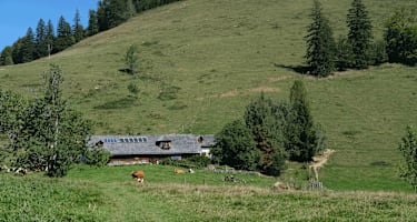Die urige Gschwendtalm befindet sich unterhalb des Gamssteins.