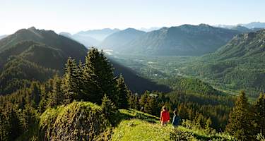 Abstieg vom Kolbensattel zur Kolbensattelhütte bei Oberammergau