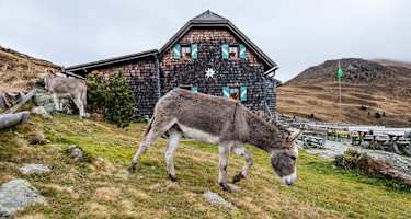 Die Millstätter Hütte