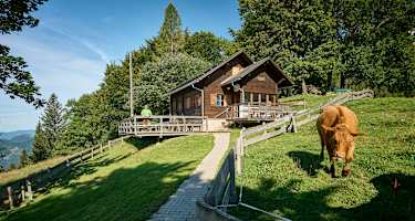 Die Mollnerhütte am Gaisberg