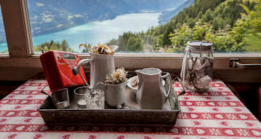 Ausblick von der Planalp