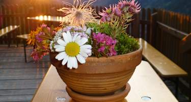 Preintalerhütte - Terrasse