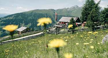 Die Roaner Alm liegt in der Osttiroler Gemeinde Iselsberg/Stronach.