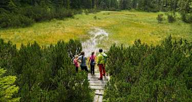 Rudolfshütte - Hochmoor