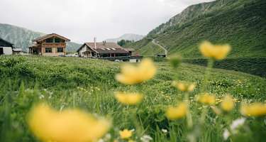 Die Bergkäserei Stoankasern ist eine urige Jausenstation und liegt oberhalb der Ortschaften Juns bzw. Tux-Lanersbach.