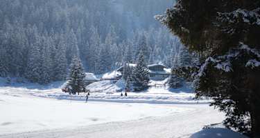 Blick auf die Wildmoosalm mit Langlaufloipe und Winterwanderweg