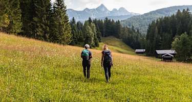 Auf dem Weg zur Wildmoosalm