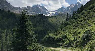 Auf dem Weg zur Stabele Alm