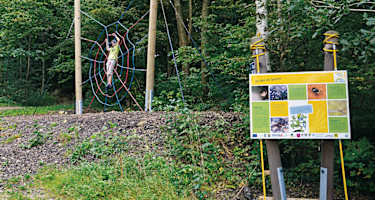 Station „Welt der Spinnen“