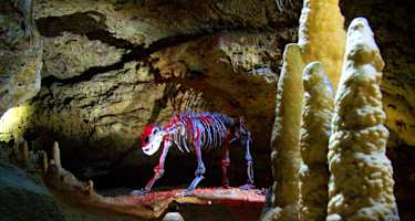 Teufelhoehle Pottenstein