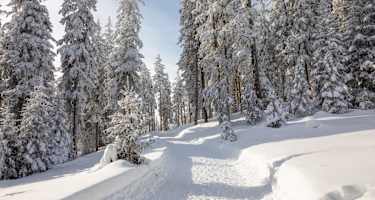 Winterwandern Harbe im Kaunertal
