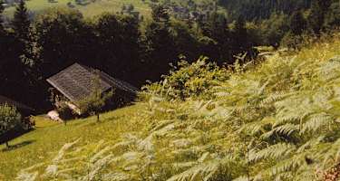 Wandergebiet Bartholomäberg