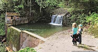 Das Staubecken des Winterhöllbachs ist ein kühlender Zwischenstopp für Jung und Alt.