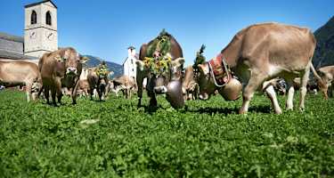 Etappe 4 des Nationalpark-Panoramaweges