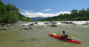 Kanufahren Bregenz und NSG Bregenzer Achdelta