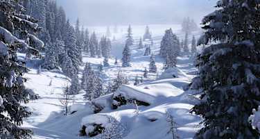 Aufstieg zur Schneegrubenspitze von der Kelchsau