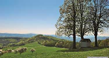 Wer einen Eindruck von der lieblichen niederösterreichischen Voralpenlandschaft gewinnen möchte – niemand hat sie treffender beschrieben als der in diesem Gebiet lange Zeit ansässige Lyriker Josef Weinheber –, der besteige den Berg an einem strahlenden Frühlingstag. Es ist ein Gang durch grüne Felder und blühende, duftende Wiesen, der auch abgebrühte Naturen bezaubert.