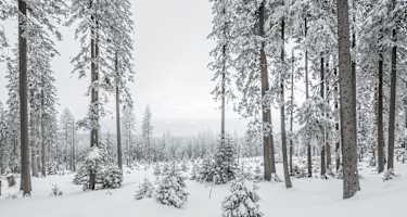Winterlandschaft in Niederbayern