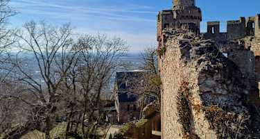 Auerbacher Schlossweg