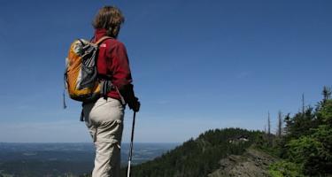 Goldsteig - Nordvariante - Etappe 12: Von Schönbuchen nach Eck