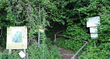 Gut beschilderter Einstieg