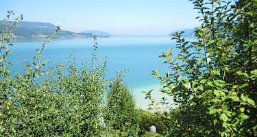 Blick auf den Attersee