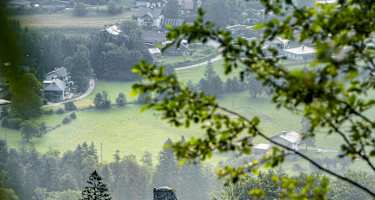 Die Ruine Wildenstein
