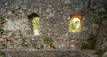 Die Ruine Wartenfels