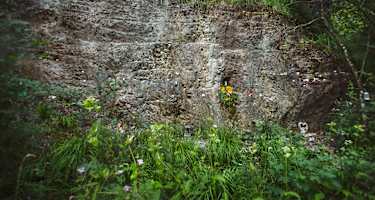 In der engen Zimnitz