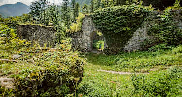 Die Ruine Scharnstein