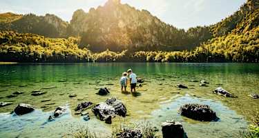 Im Laudachsee tummelt sich so mancher Molch.