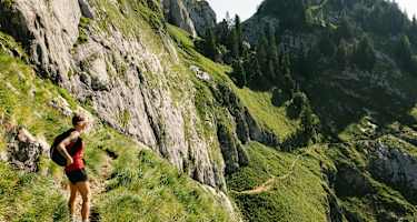 Am Purtschellersteig