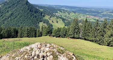 Blick auf Steibis vom Prodel