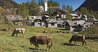 Das Tessiner Dorf Bosco Gurin