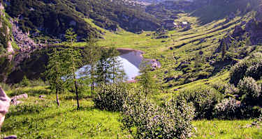 Blick von Emil's Tränenhügel auf die Pühringerhütte am Elmsee