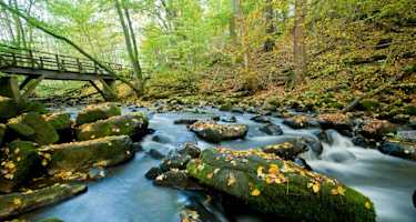 Holzbachschlucht bei Seck