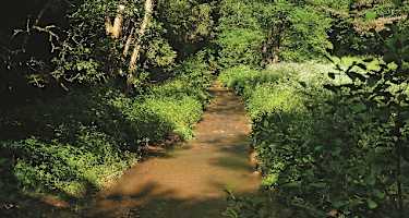 Im Waldgraben der äußeren Johannesbachklamm kurz nach dem Gasthaus Lackner.