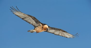 Reise Chile Skitouren