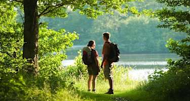Postweiher bei Freilingen
