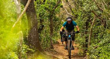 Mountainbike Trail Le Api in der Nähe von Punta Ala in der Maremma