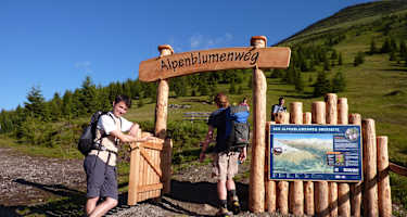 Der Alpenblumenlehrweg