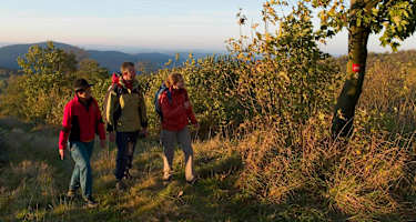 Auf dem Rothaarsteig bei Lützel