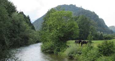 An der Ischl