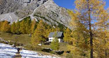 Die Kerschbaumer Alm (1.902 m) 