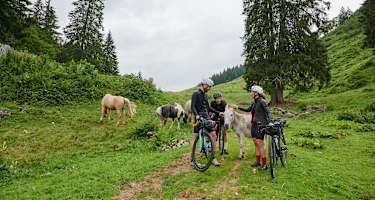 Abzweigung auf den Trampelpfad nicht verpassen!